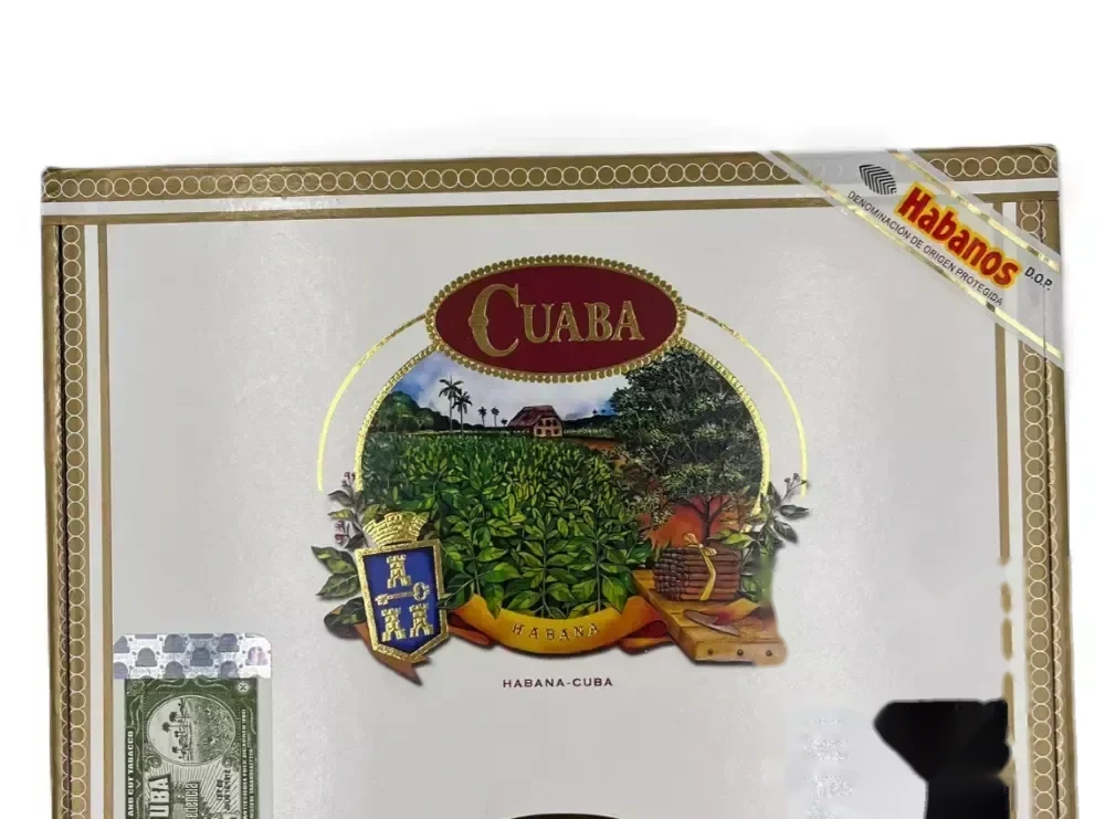 CUABA SALOMONES 所羅門