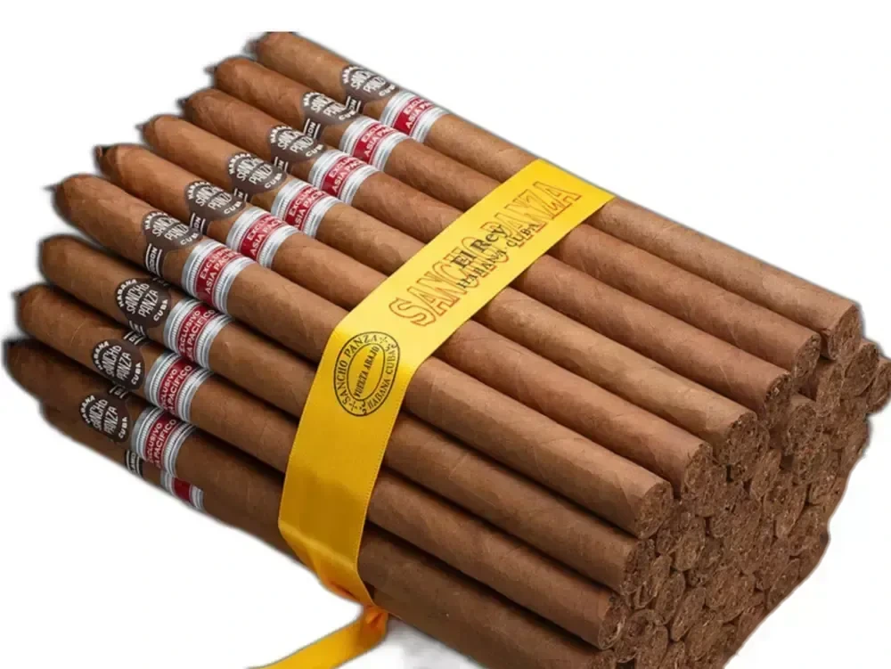 sancho panza el rey edición regional asia pacifico 桑丘長矛