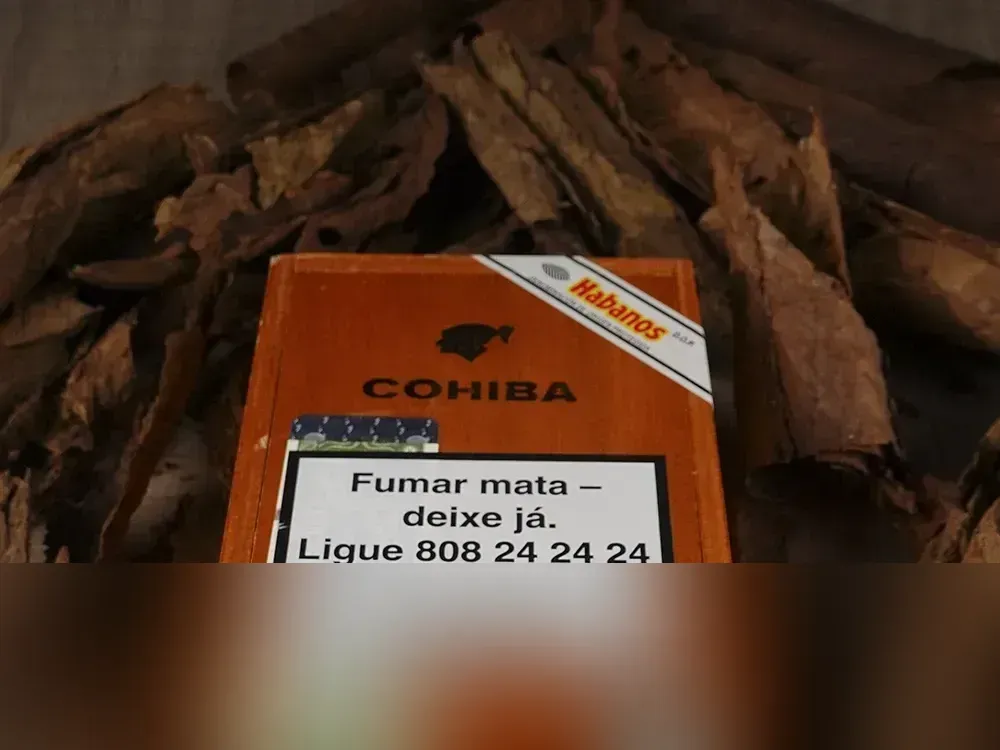 Cohiba Siglo VI 产品资料